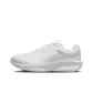 White/Photon Dust/White