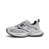 Silver/Gray/Black