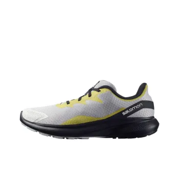 SALOMON Impulse Running Shoes Men Low-Top Gray