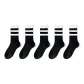 Black White Double Stripe 5