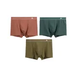 (3 Pack) Pink+Green+Ginger Yellow