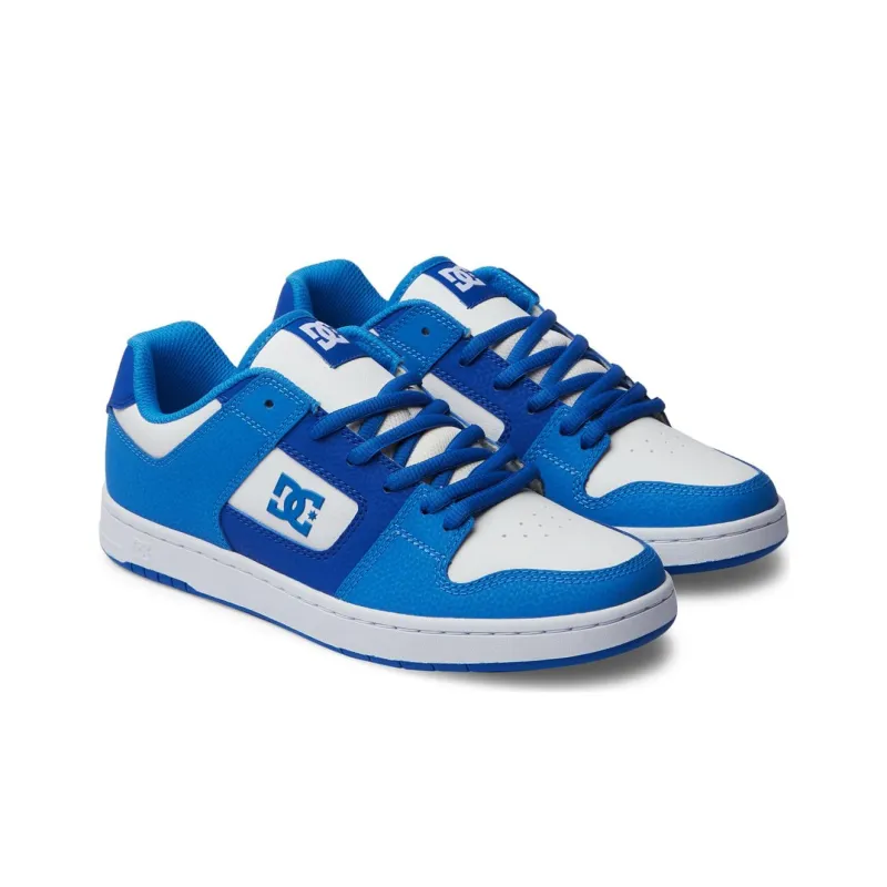 DC Shoes MANTECA Low Top Skateboard Shoes Men's Blue White-2