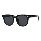 Black Frame with Black Gray Lens