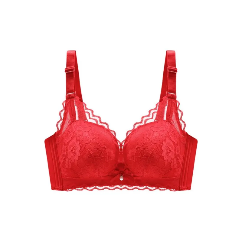 Lanza Women's Bras-2
