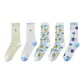 [5 Pack]White Yellow+White Blue+White Lemon+White Lemon+White Flower