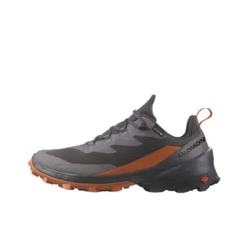 SALOMON CROSS OVER 2 GORE TEX Low Top Outdoor Shoes Men's Gray Brown