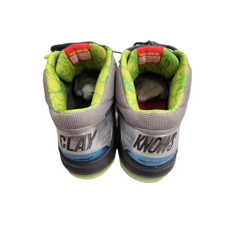 Nike Trainer Sc Low Medium Grey Volt 2010-2