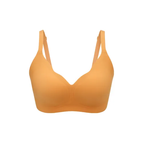 Concealed Women's Bras