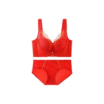 Lanza Women's Underwear Sets