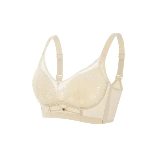 Lanza Women's Bras