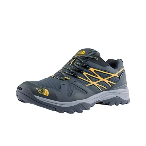 THE NORTH FACE Hedgehog Series Hiking / Trekking Shoes Men Low-Top Gray Blue