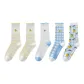 [5 Pack]White Yellow+White Yellow+White Blue+White Plaid+White Lemon