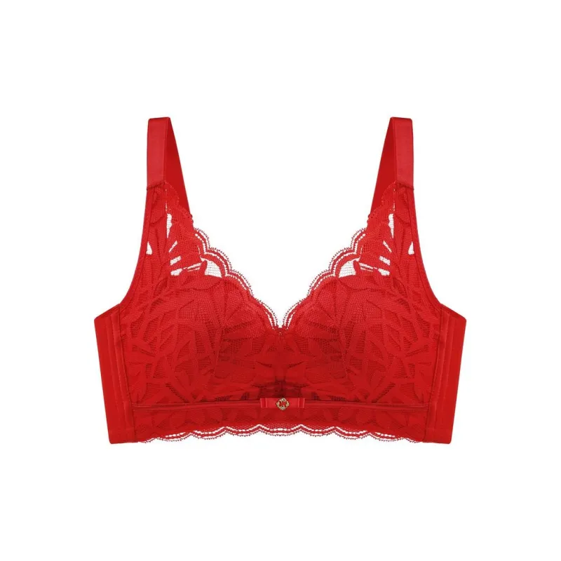 Lanza Women's Bras-4