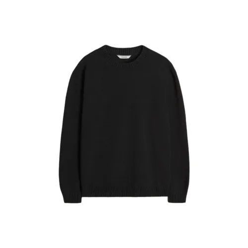 HOLZWEILER FW24 Sweater Men's Black