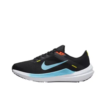 Nike Women's Winflo 10 'Black Baltic Blue'