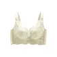 Champagne White