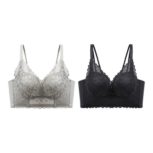 Lanza Women's Bras