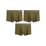 (3 Pack) Ginger Yellow