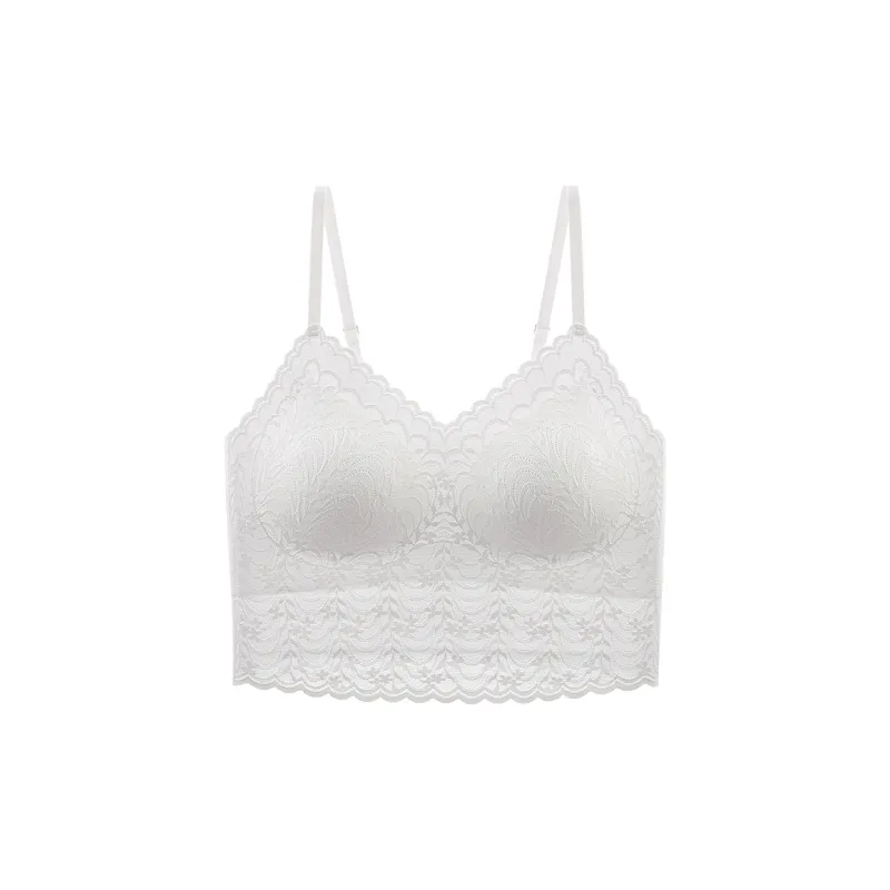 Lanza Women's Bras-0