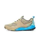 Bamboo/Hyper Cobalt-Solft Grey