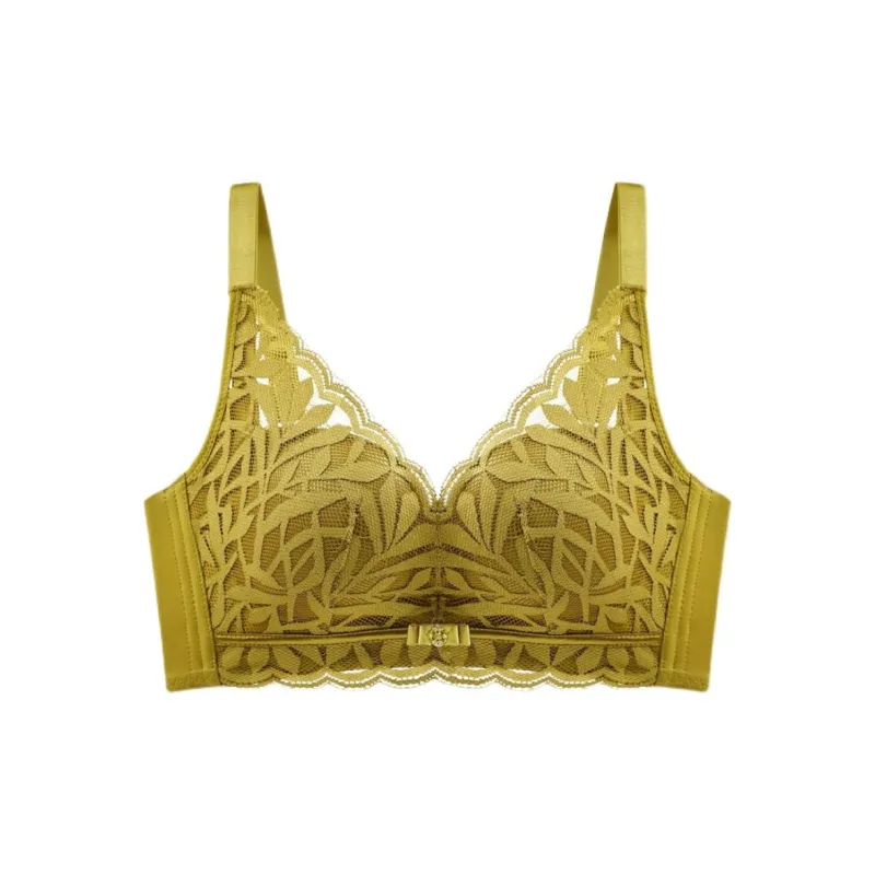 Lanza Women's Bras-0
