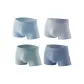 Silver Gray, Gray Blue, Lake Green, Oil Blue