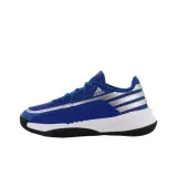 Royal Blue/Silver Metallic/Core Black