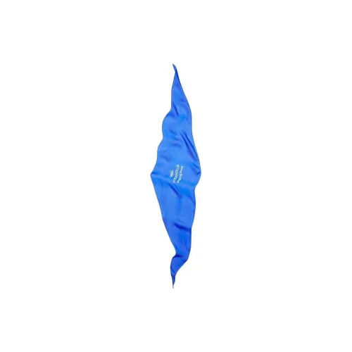 Acne Studios Silk Scarves Unisex