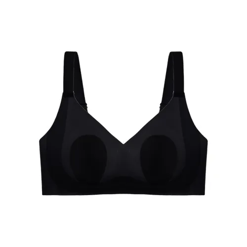 Lanza Women's Bras