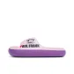 Pink Purple