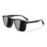 Sunglasses 01 classic havana