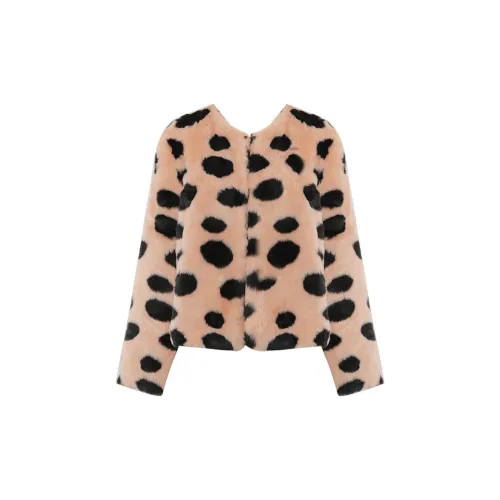 DPLAY Velvet Jackets Women's Pink Base With Black Polka Dots