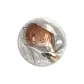 Jesse-Sleeping