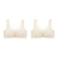 2 Pack (Champagne)