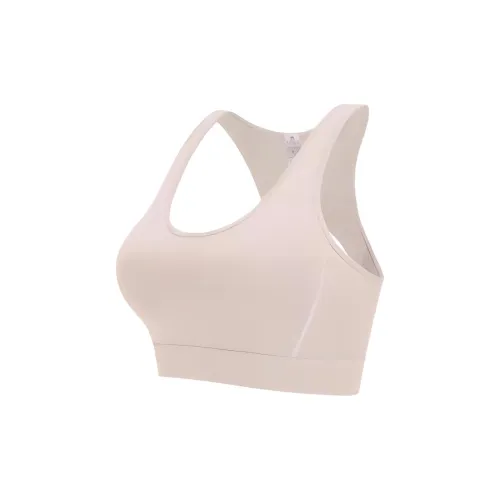 CAMEL Sports Underwear Women's