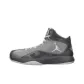 Silver Gray