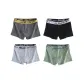 WD 7/Black+Dark Gray+Light Gray+Fruit Green/4 Pack
