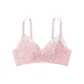 Beauty Pink