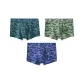 Gray Green-Verdant Green-Ice Blue