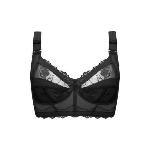 Lanza Women's Bras