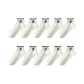 10 Pack (10 White)