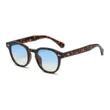 Leopard Print Frame with Blue above and Yellow below