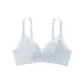 Light Blue Gray