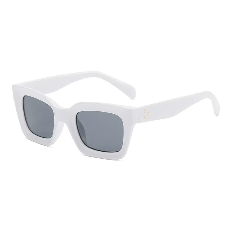 RINA VELLA PC Irregular Shape Sunglasses Unisex-2