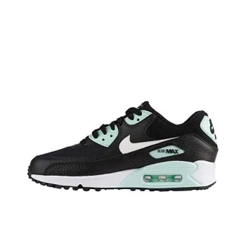 Nike Air Max 90 Black Summit White Igloo Women's
