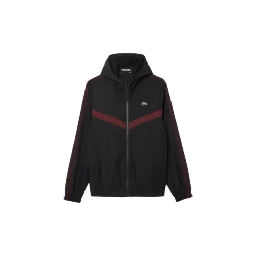LACOSTE Jackets Coats Men's Khaki Green