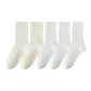 5 Pack[Wide Stripe Raw White-Wide Stripe Raw White-Pinstripe Raw White-Pinstripe Raw White-Pinstripe Raw White]