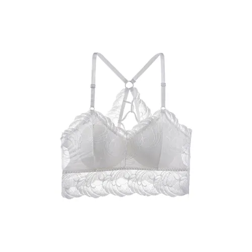 Lanza Women's Bras