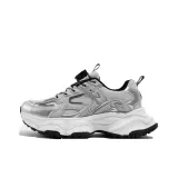 Silver Gray