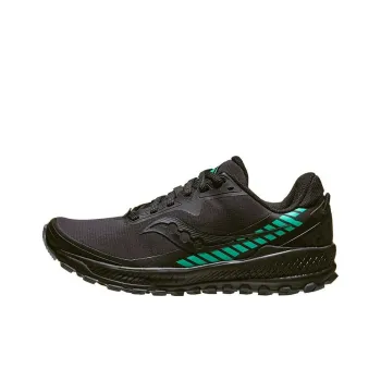 saucony Women's Peregrine ICE+ 'Black Jade'